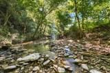 0 Dog Creek Road - Photo 35