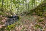 0 Dog Creek Road - Photo 36