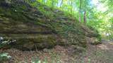 0 Dog Creek Road - Photo 44