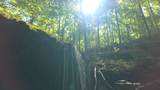 0 Dog Creek Road - Photo 45