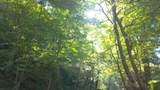 0 Dog Creek Road - Photo 48