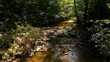 0 Dog Creek Road - Photo 7