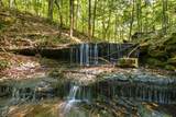 0 Dog Creek Road - Photo 10
