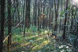 0 Rock Springs Rd - Photo 19