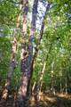 0 Rock Springs Rd - Photo 20