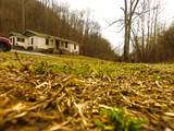 290 Hazel Huffines Ln - Photo 20