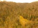290 Hazel Huffines Ln - Photo 8