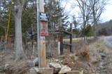 127 Rushing Springs Rd - Photo 11