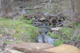 127 Rushing Springs Rd - Photo 12