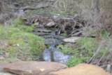 127 Rushing Springs Rd - Photo 14