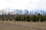 127 Rushing Springs Rd - Photo 39