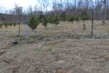 129 Rushing Springs Rd - Photo 42