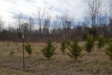 129 Rushing Springs Rd - Photo 43