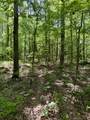 0 W Hunt Hollow Rd - Photo 12
