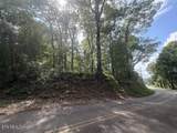 0 County Road 446 - Photo 1