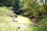 0 Old Andrew Johnson Highway - Photo 11