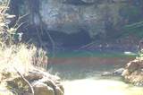 0 Old Andrew Johnson Highway - Photo 12