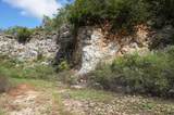 0 Old Andrew Johnson Highway - Photo 14