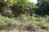 0 Old Andrew Johnson Highway - Photo 15
