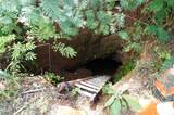 0 Old Andrew Johnson Highway - Photo 16