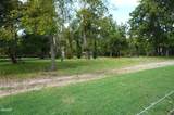 0 Old Andrew Johnson Highway - Photo 19