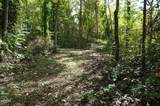 0 Old Andrew Johnson Highway - Photo 24