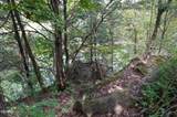 0 Old Andrew Johnson Highway - Photo 27