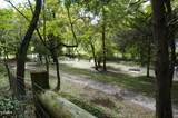 0 Old Andrew Johnson Highway - Photo 31