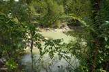 0 Old Andrew Johnson Highway - Photo 32