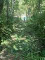0 Old Andrew Johnson Highway - Photo 37