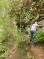 0 Old Andrew Johnson Highway - Photo 38