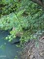 0 Old Andrew Johnson Highway - Photo 5