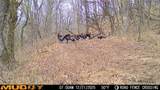0 Lane Branch Rd - Photo 3