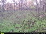 0 Lane Branch Rd - Photo 24