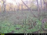 0 Lane Branch Rd - Photo 26