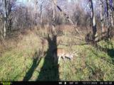 0 Lane Branch Rd - Photo 28