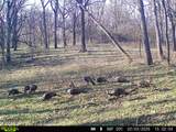 0 Lane Branch Rd - Photo 29