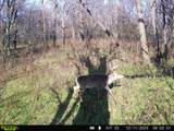 0 Lane Branch Rd - Photo 30