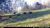 0 Lane Branch Rd - Photo 4
