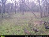 0 Lane Branch Rd - Photo 31