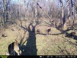 0 Lane Branch Rd - Photo 33