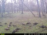 0 Lane Branch Rd - Photo 34
