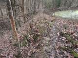 0 Lane Branch Rd - Photo 40