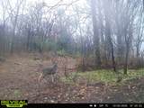 0 Lane Branch Rd - Photo 5