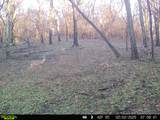 0 Lane Branch Rd - Photo 47