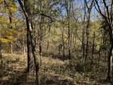 0 Lane Branch Rd - Photo 9