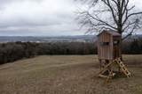 0 Molino Rd - Photo 5