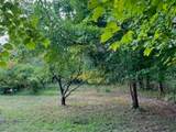 113 Bee Branch Boulevard - Photo 4