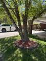 107 Brandon Ln - Photo 33