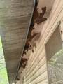 206 Ben Henry Rd - Photo 34